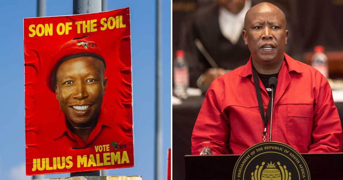 A general election campaign poster for Julius Malema, leader of the Economic Freedom Fighters (EFF) A general election campaign poster for Julius Malema, leader of the Economic Freedom Fighters (EFF)