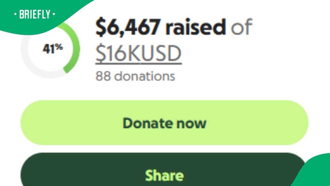 The visual snippet highlighted the crowdfunding total of 88 donations, showing the fundraiser had reached 41% of its ultimate goal The visual snippet highlighted the crowdfunding total of 88 donations, showing the fundraiser had reached 41% of its ultimate goal