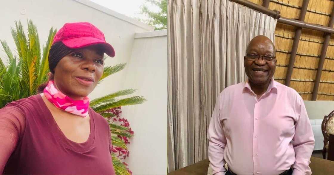 Thuli Madonsela Slams Zuma's Behaviour, Says He's Not Above the Law Thuli Madonsela Slams Zuma's Behaviour, Says He's Not Above the Law
