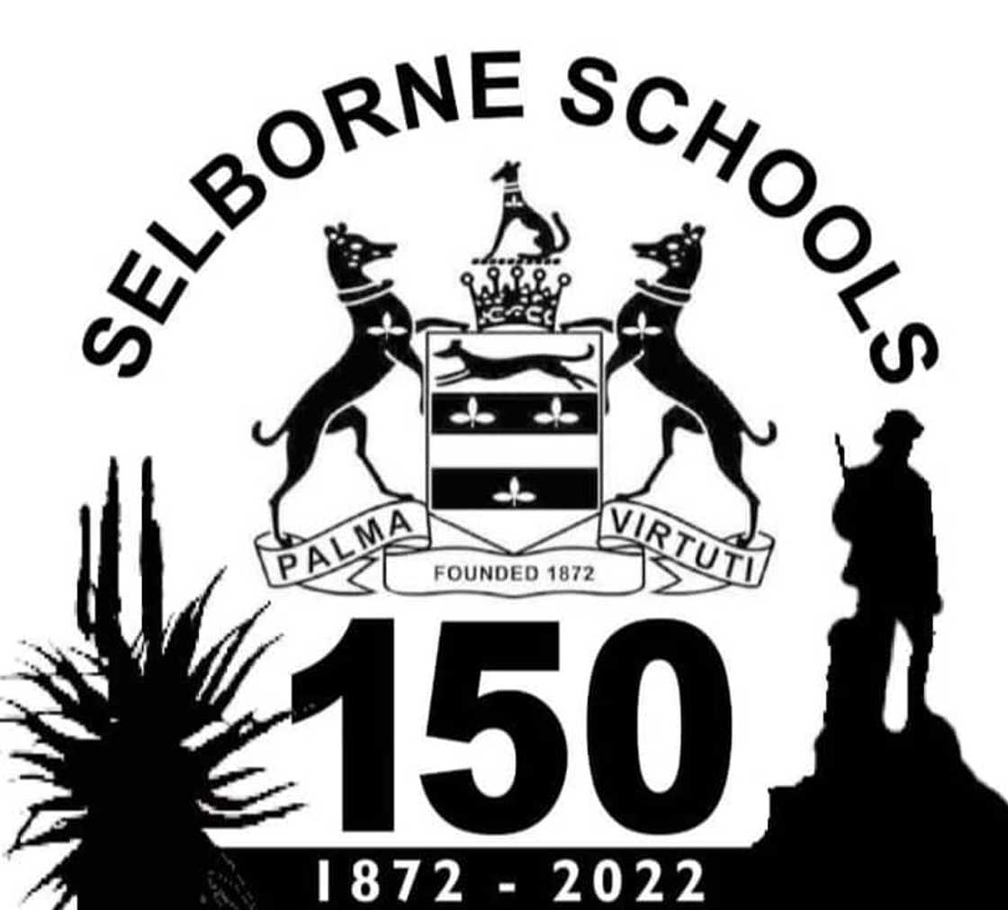 best schools in gauteng best schools in gauteng
