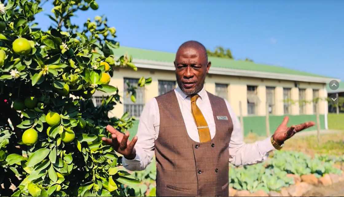 Others praised the parents for giving their child a platform to learn languages