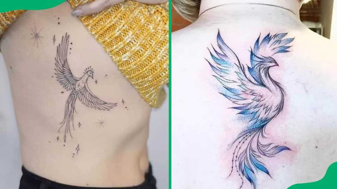 Phoenix bird tattoo