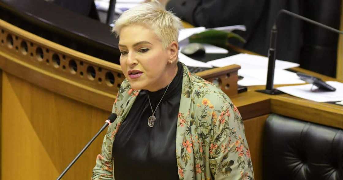 State Capture report, DA, criminal charges, racketeering, ANC, criminal syndicate, chief whip Natasha Mazzone State Capture report, DA, criminal charges, racketeering, ANC, criminal syndicate, chief whip Natasha Mazzone