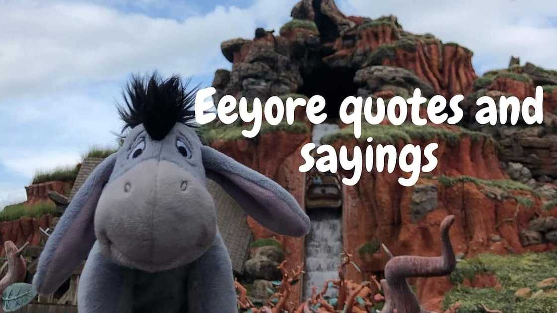Eeyore quotes Eeyore quotes