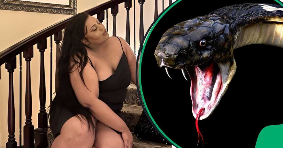 Lady shares video swimming with python Lady shares video swimming with python