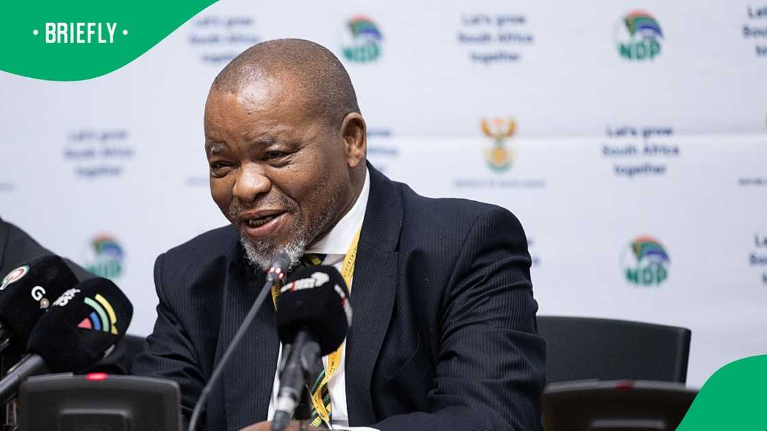 A 2024 clip of Gwede Mantashe resurfaced in which hew called on South Africans to be prioritised in three labour sectors