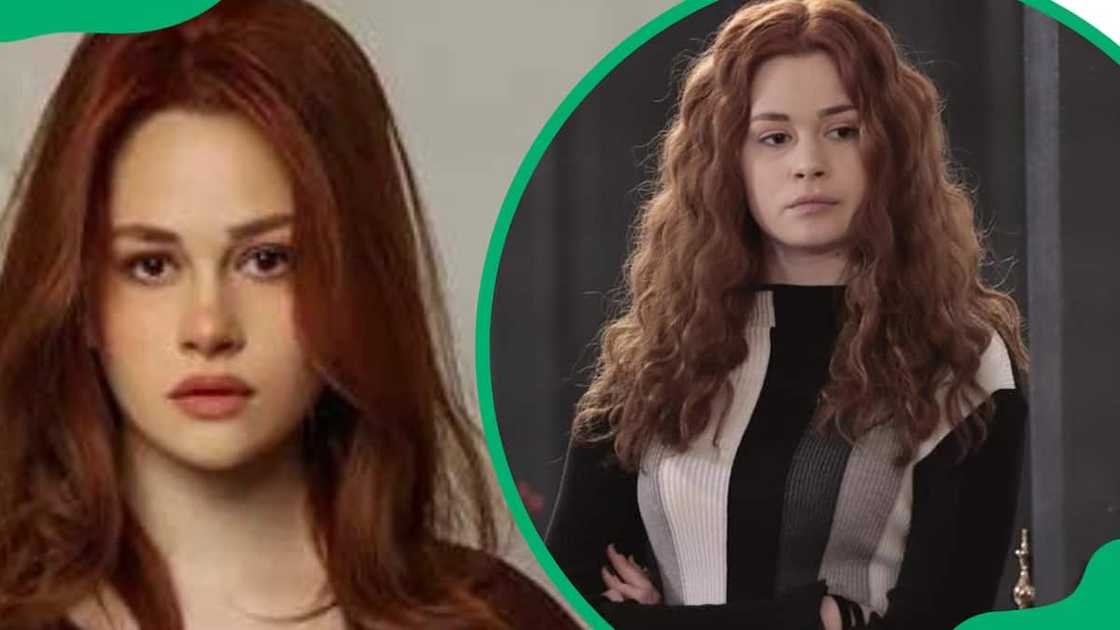 Skerpioen plot summary Skerpioen plot summary