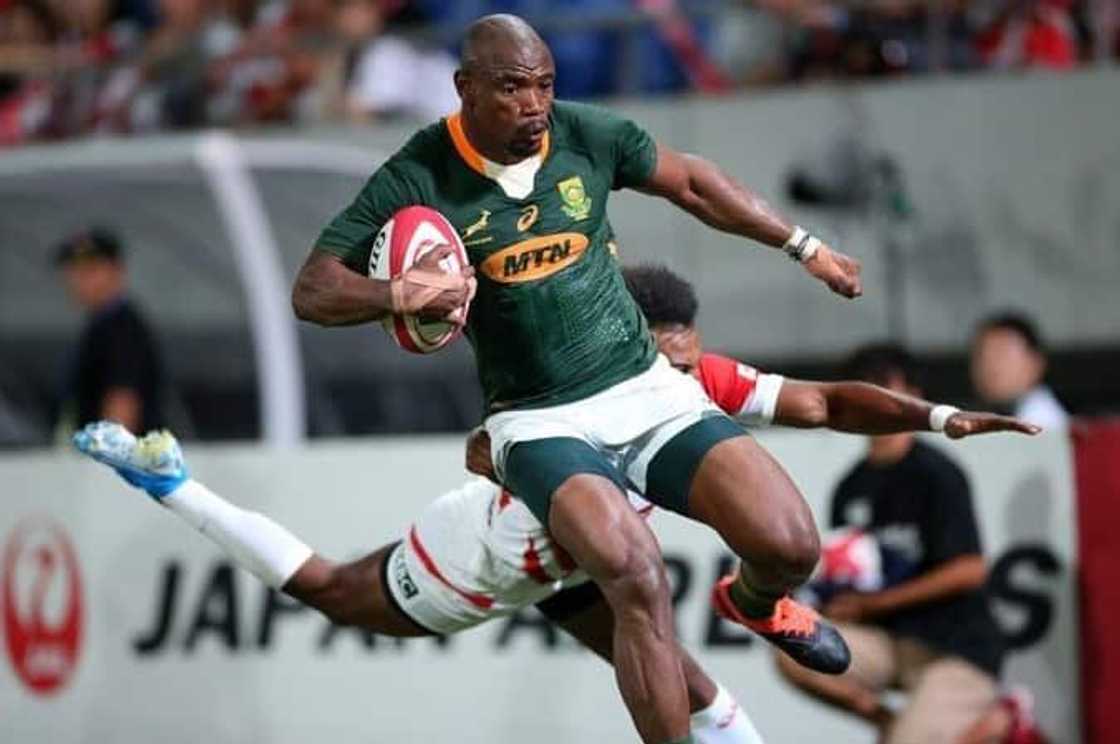 Makazole Mapimpi scores two tries as South Africa secures a 32-15 victory over Scotland