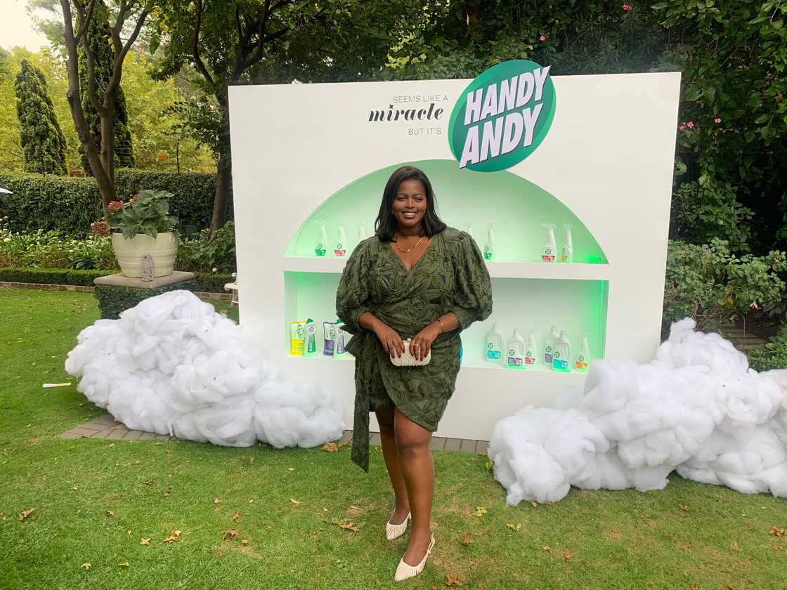 Handy Andy brand guru shared odd Handy Andy use Handy Andy brand guru shared odd Handy Andy use