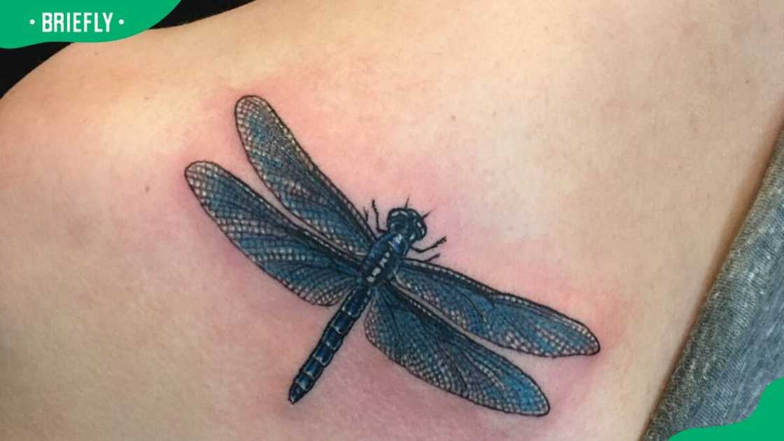 Black dragonfly tattoo Black dragonfly tattoo