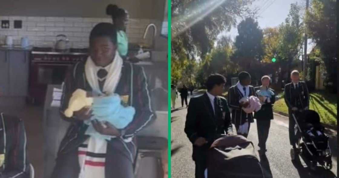 Pretoria Boys High School babysit