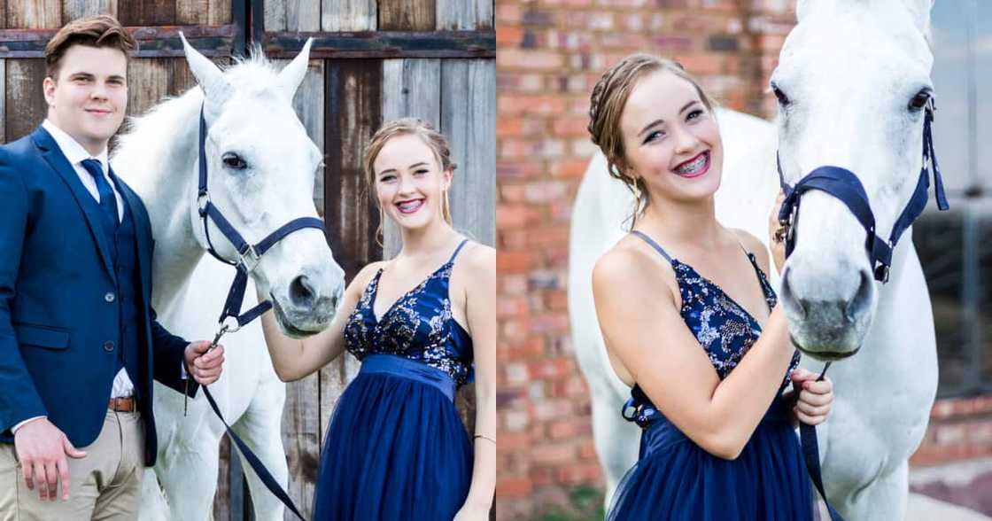 Cops, Saps, reaction Cops, Saps, reaction