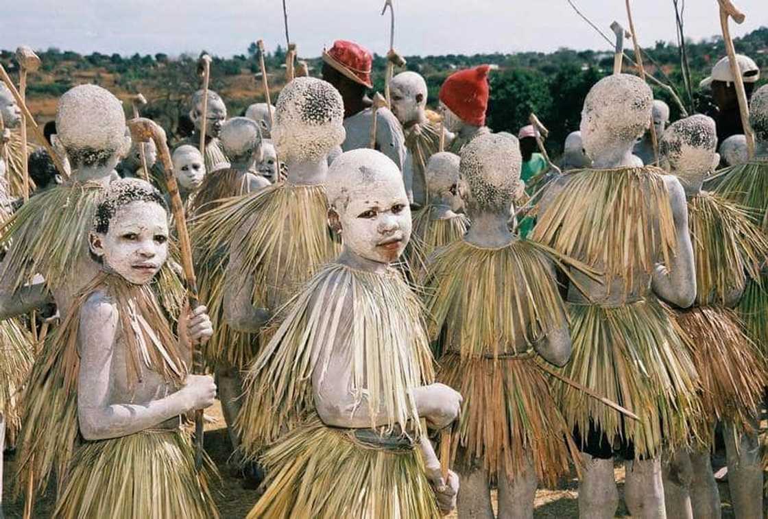 Tsonga initiation culture