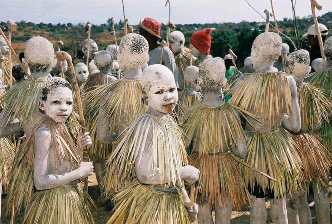Tsonga initiation culture Tsonga initiation culture
