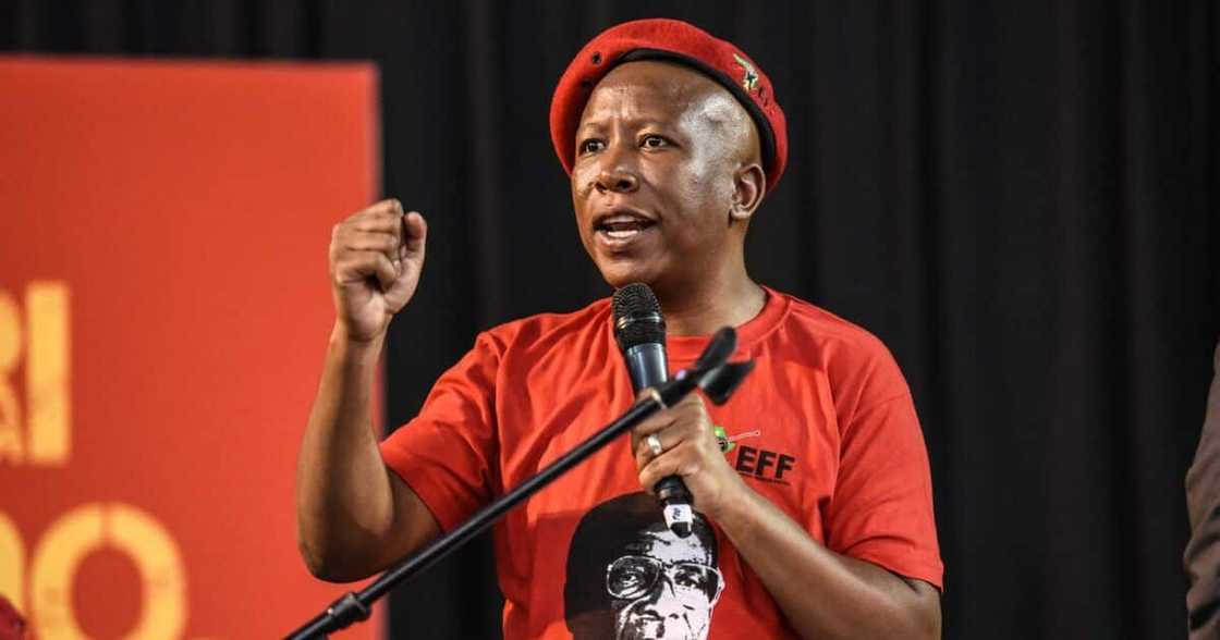 Ntsiki Mazwai threw shots at Julius Malema