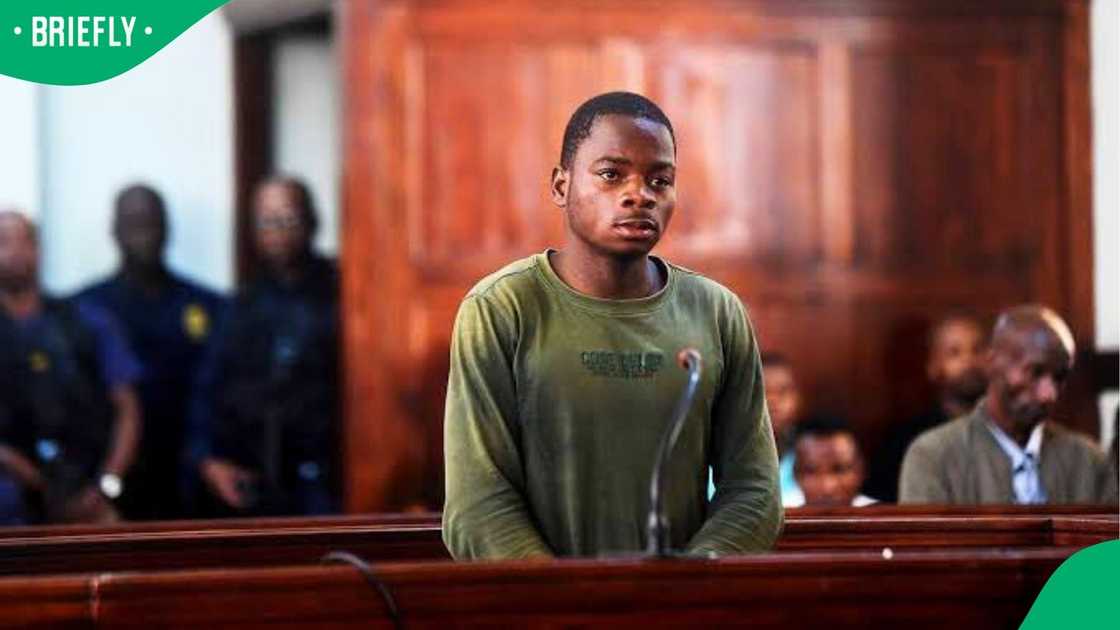 Armindo Pacula has abandoned his bail application