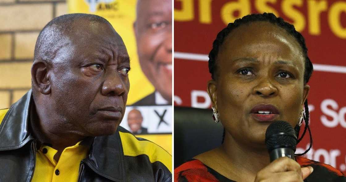 Public Protector, Busisiwe Mkhwebane, Cyril Ramaphosa, suspension, lifted, immediate effect, letter Public Protector, Busisiwe Mkhwebane, Cyril Ramaphosa, suspension, lifted, immediate effect, letter
