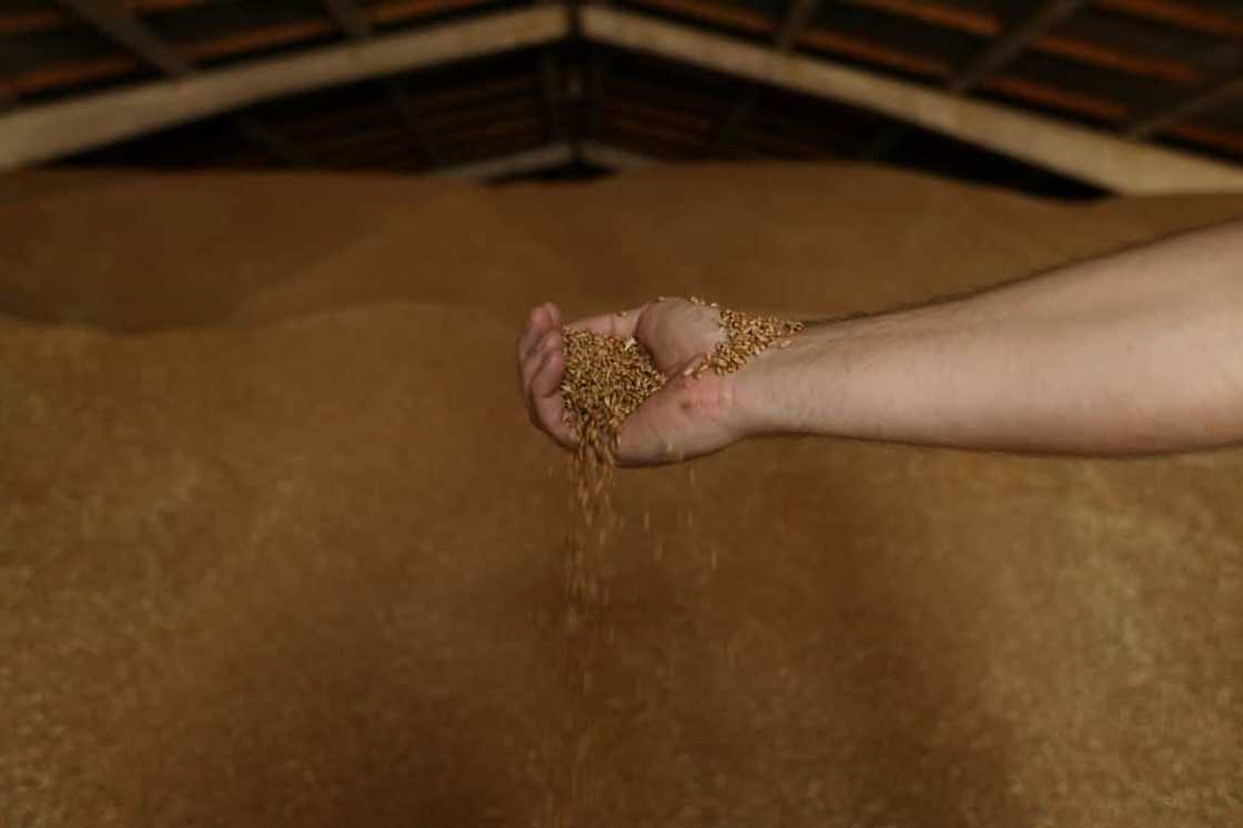 A Russian naval blockade of Ukraine's Black Sea ports has stopped grain shipments and led to a burgeoning global food shortage A Russian naval blockade of Ukraine's Black Sea ports has stopped grain shipments and led to a burgeoning global food shortage