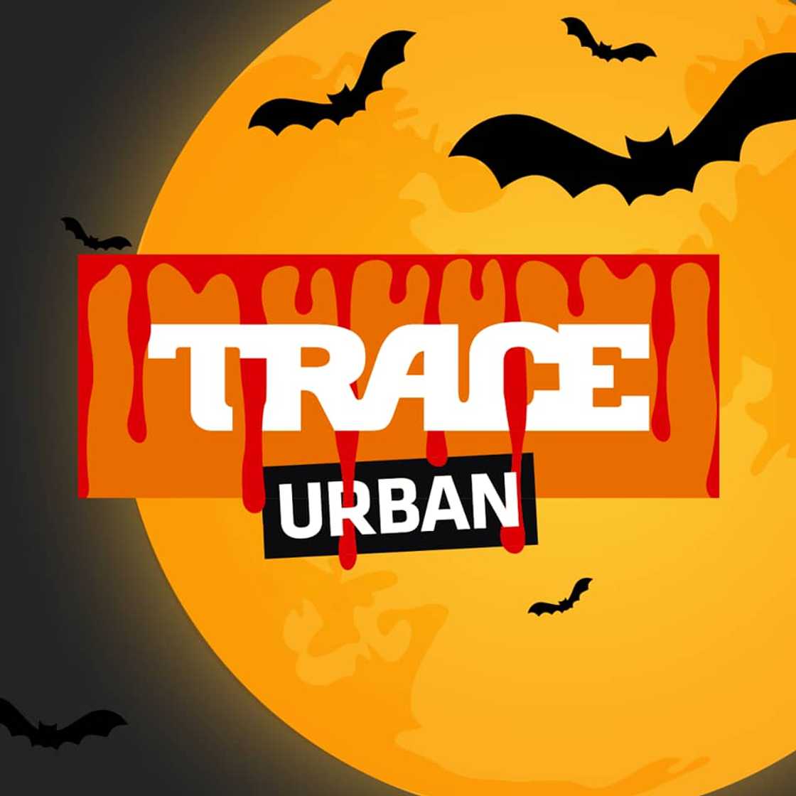 Trace Urban filmmaking competition application process Trace Urban filmmaking competition application process