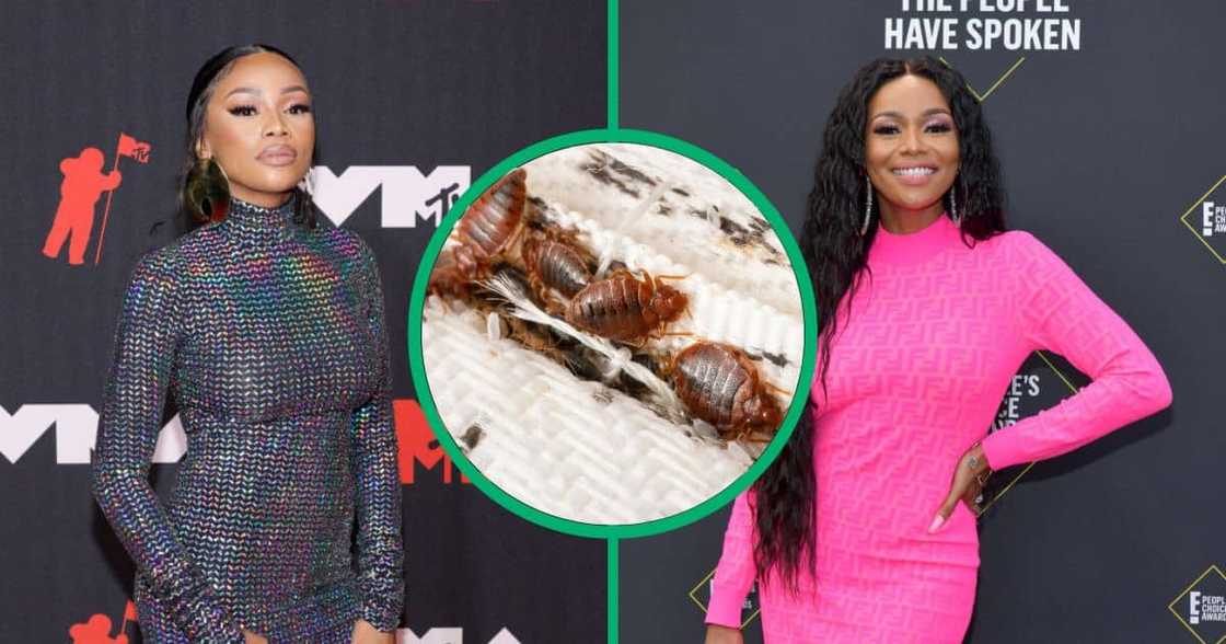 Bonang Matheba reacts to bed bugs in Paris Bonang Matheba reacts to bed bugs in Paris