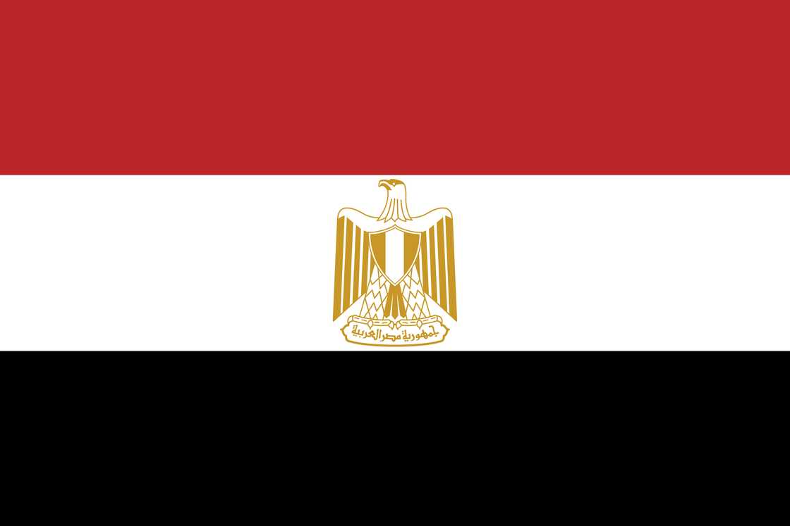 The flag of Egypt