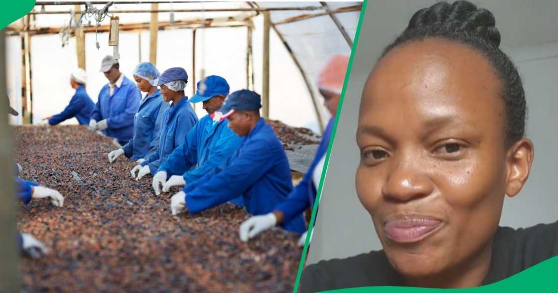 Mzansi suspicious about farm worker's payslip Mzansi suspicious about farm worker's payslip