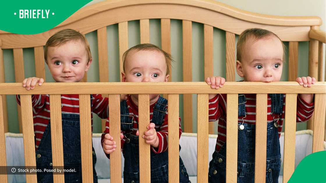 The mom and dad love showing off the triplets. The mom and dad love showing off the triplets.