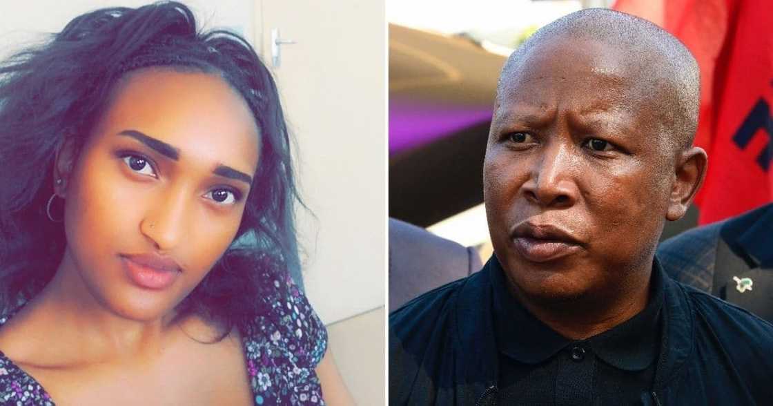 EFF, Julius Malema, Hillary Gardee, police, 72-hour deadline looming, arrests