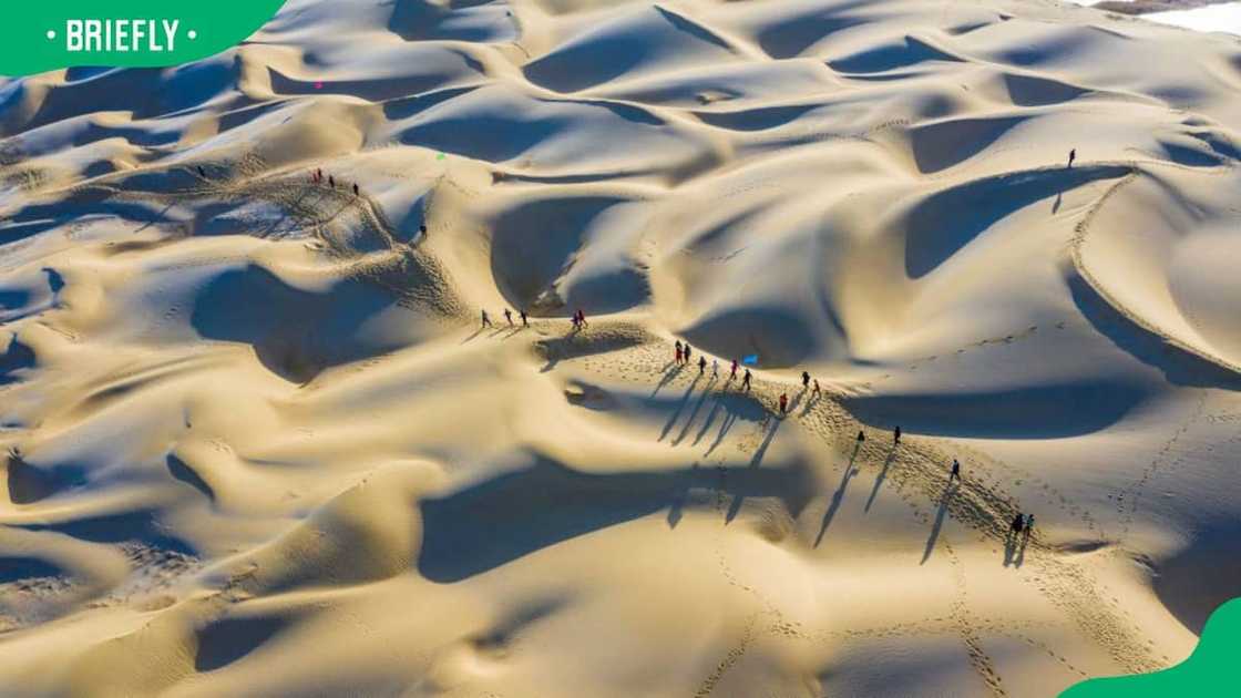 A trekking competition in the Taklimakan Desert A trekking competition in the Taklimakan Desert