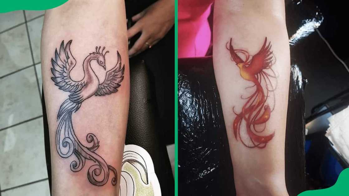 Small phoenix tattoos Small phoenix tattoos