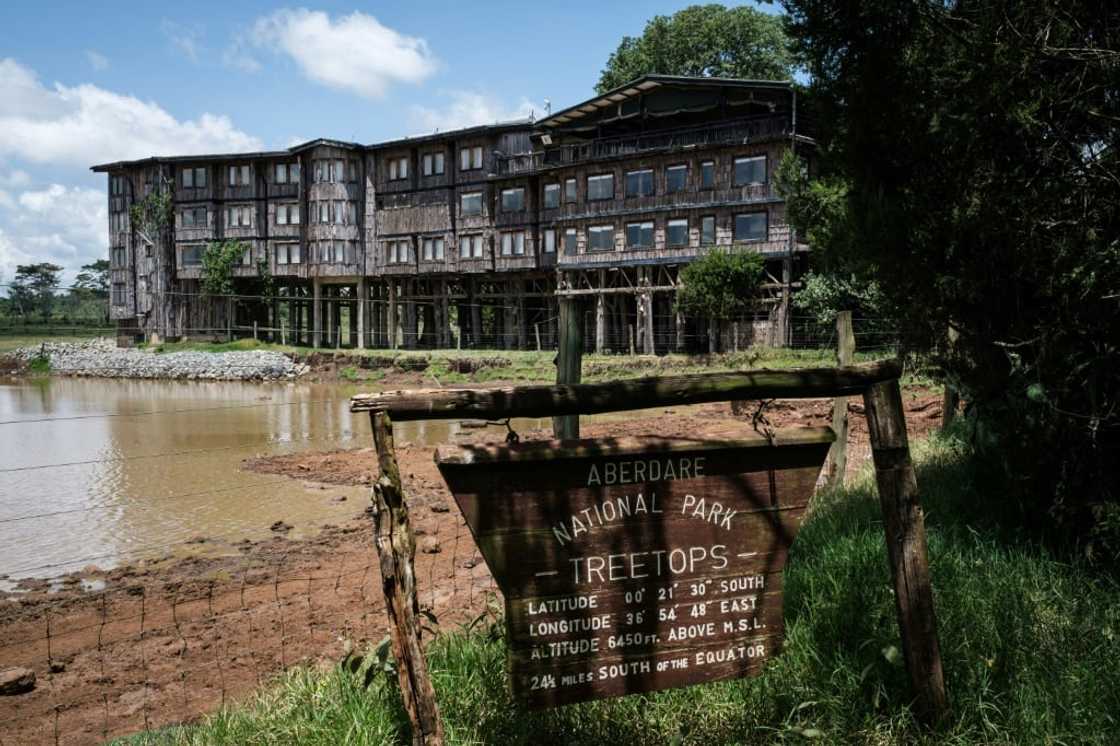 Treetops overlooks a watering hole in the Aberdares range north of Nairobi