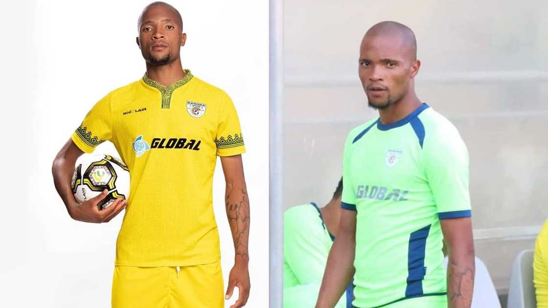 Mosele Mosele