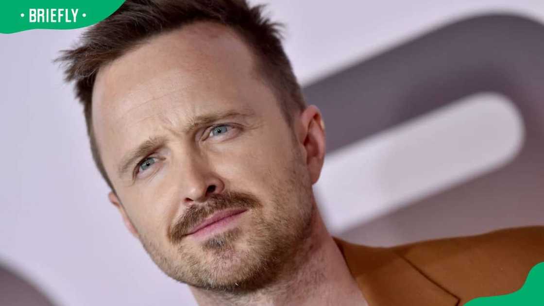 What is the net worth of Bryan Cranston? What is the net worth of Bryan Cranston?