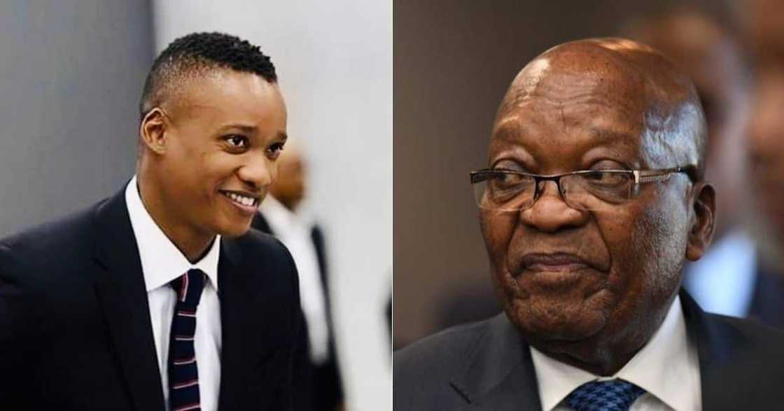 Duduzane Zuma, Backlash, Social Media, Video, Father’s Arrest Duduzane Zuma, Backlash, Social Media, Video, Father’s Arrest