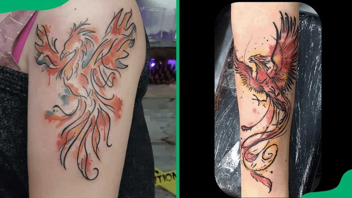 Watercolour phoenix tattoos Watercolour phoenix tattoos