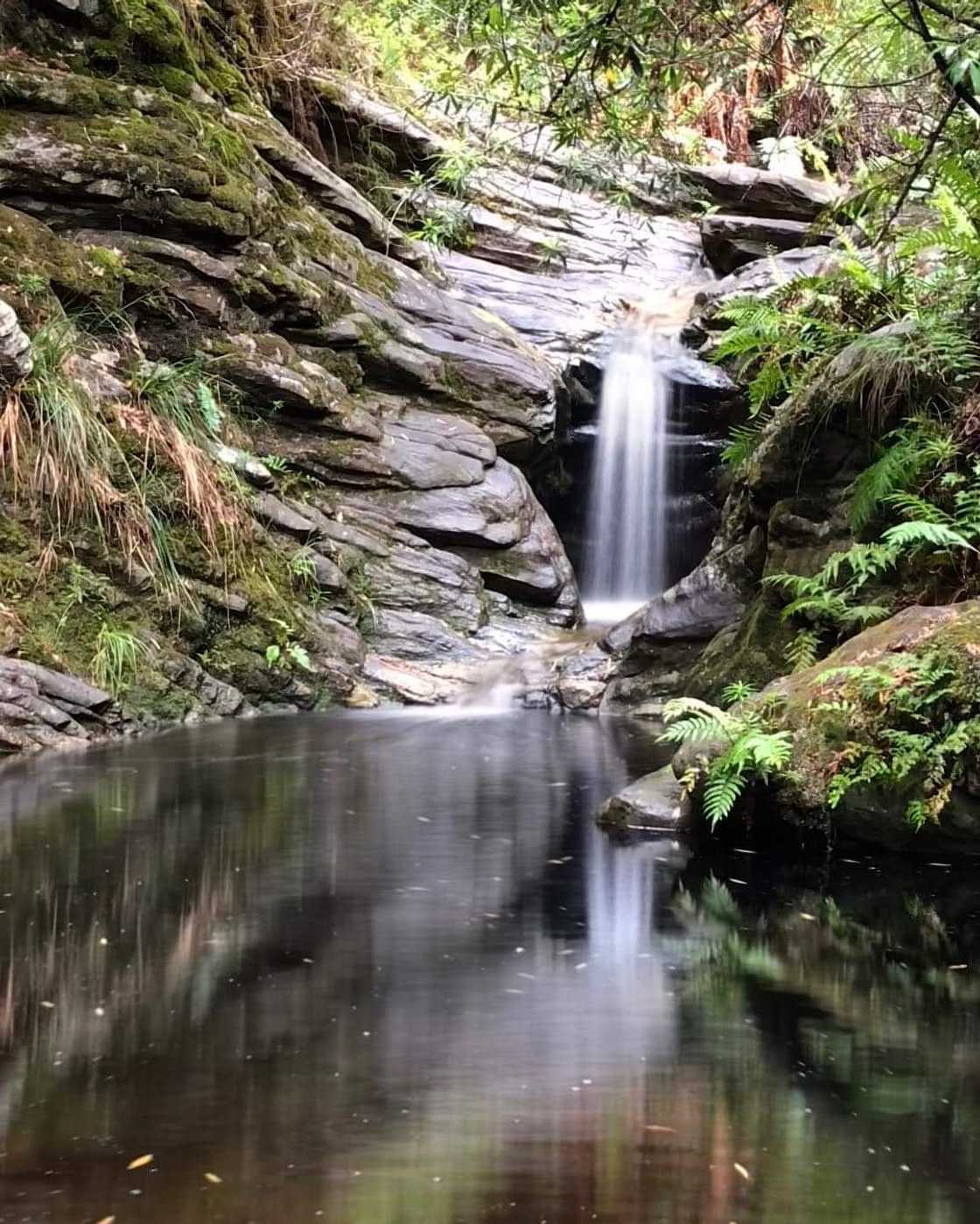 15 popular things to do in Knysna 15 popular things to do in Knysna
