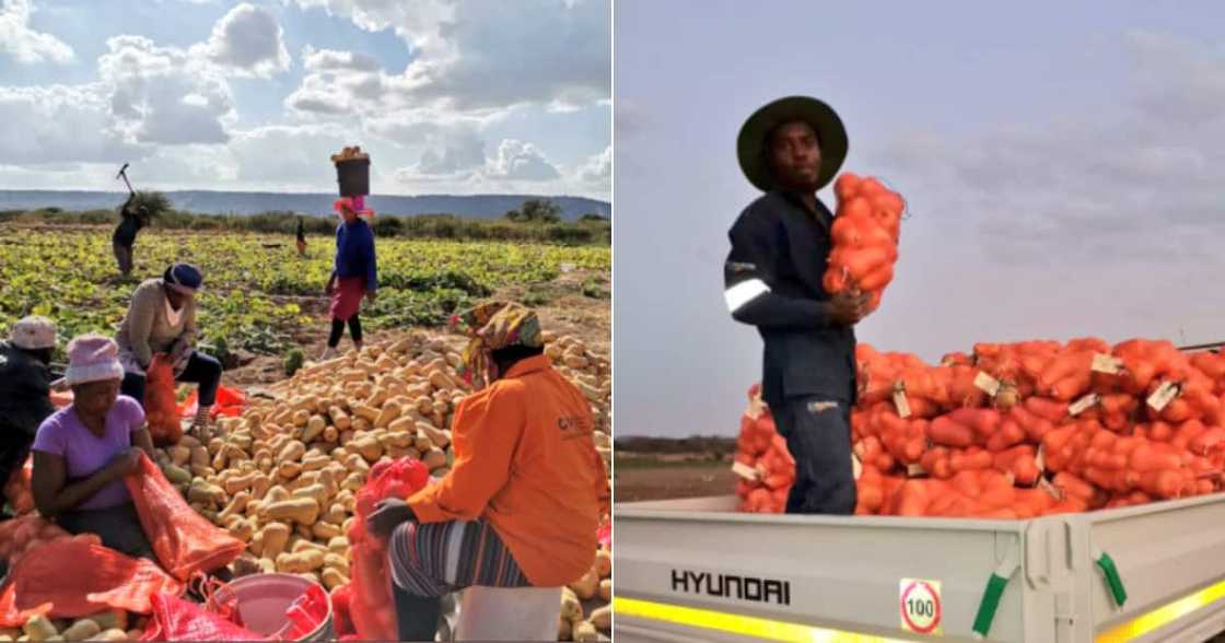 Lady Farmer, Own business, Empowers other women Lady Farmer, Own business, Empowers other women