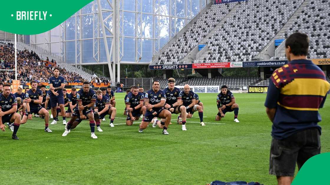 New Zealand, Highlanders, Connor Garden-Bachop New Zealand, Highlanders, Connor Garden-Bachop