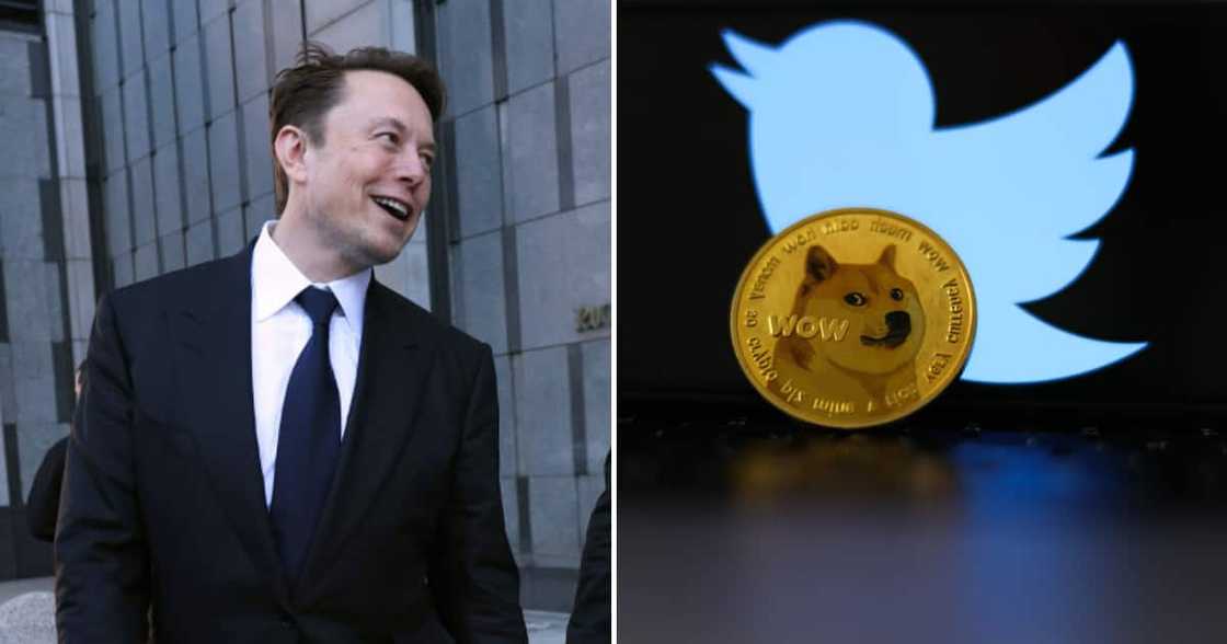 Elon Musk confirms Twitter logo change Elon Musk confirms Twitter logo change