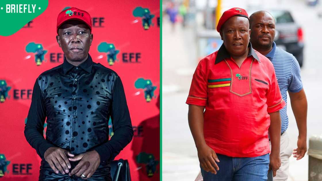 Julius Malema is suing a former political ally Julius Malema is suing a former political ally