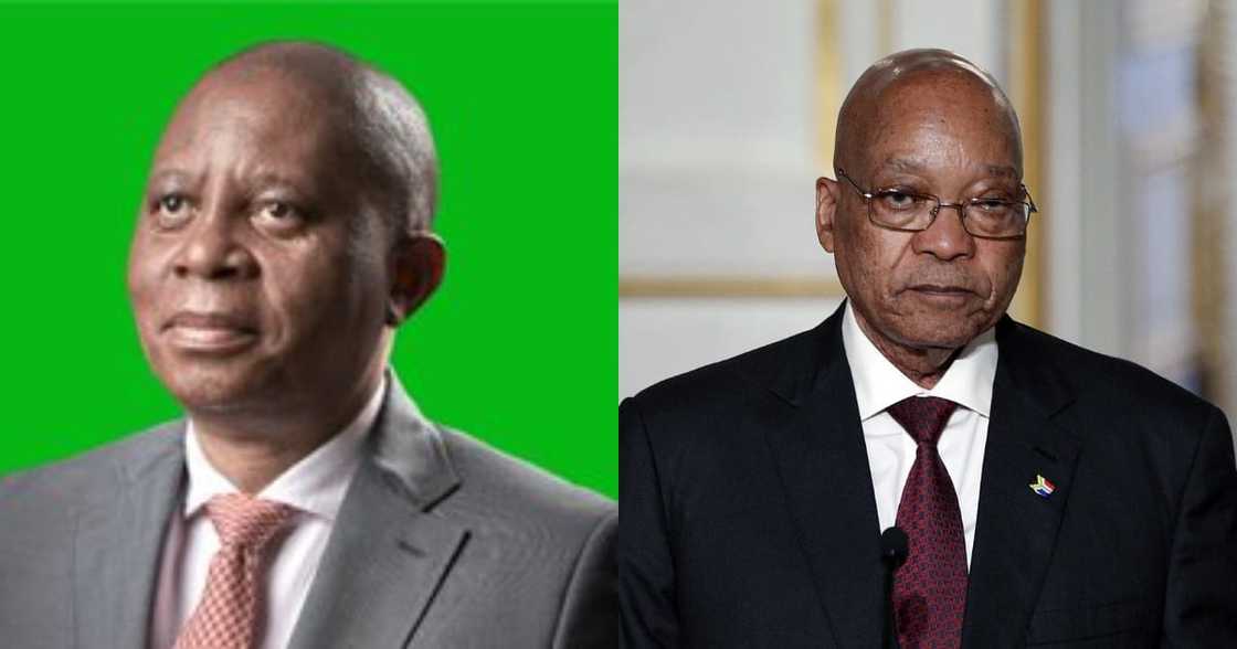 Herman Mashaba Demands "Delinquent" Zuma Be Taken off SA Payroll Herman Mashaba Demands "Delinquent" Zuma Be Taken off SA Payroll