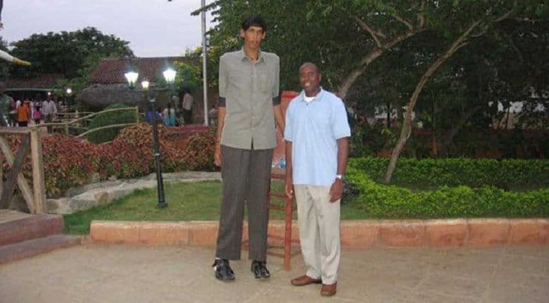 world's tallest man world's tallest man