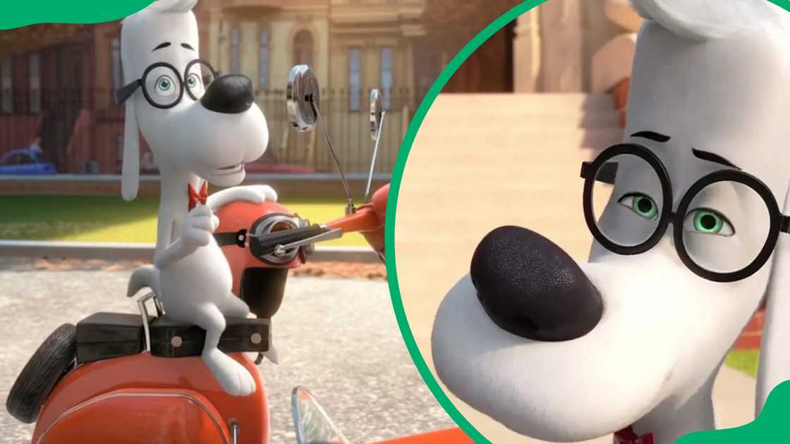 Mr. Peabody from Mr. Peabody & Sherman