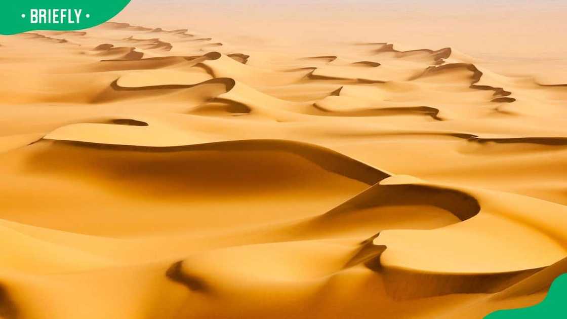 Topography of the Sahara Desert Topography of the Sahara Desert