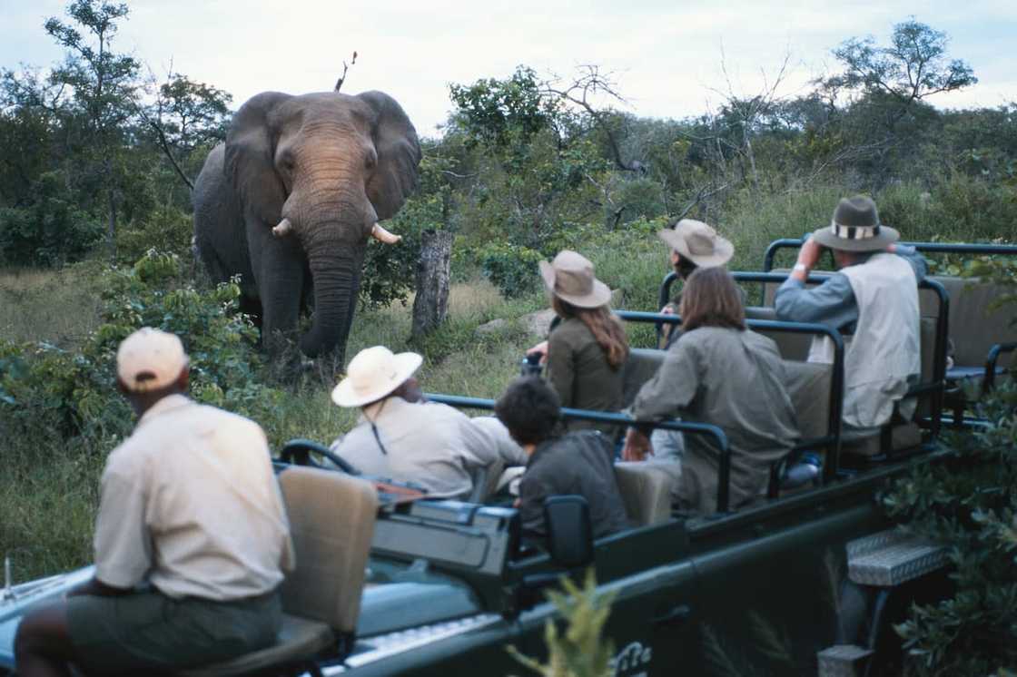 How much does a travel agent earn in South Africa? How much does a travel agent earn in South Africa?
