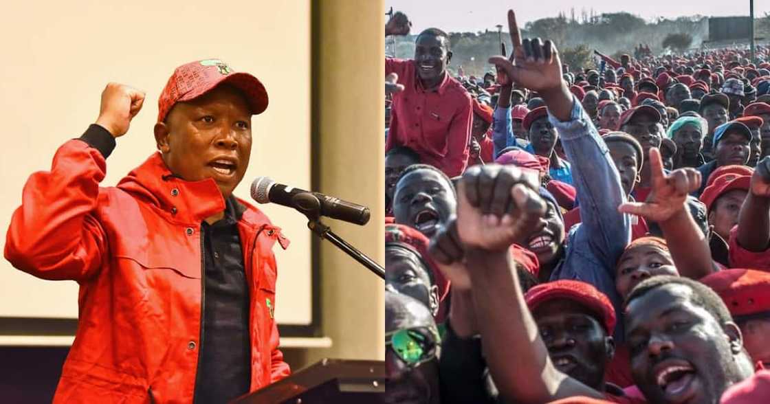 Julius Malema, Twitter, suspended, incitement to violence Julius Malema, Twitter, suspended, incitement to violence