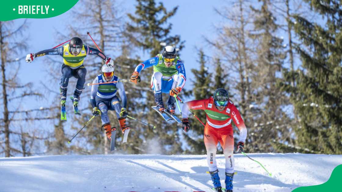 Most expensive sports Most expensive sports