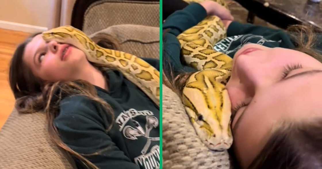 TikTok video showing a young girl cuddling a huge snake has left some peeps stressing for her life TikTok video showing a young girl cuddling a huge snake has left some peeps stressing for her life