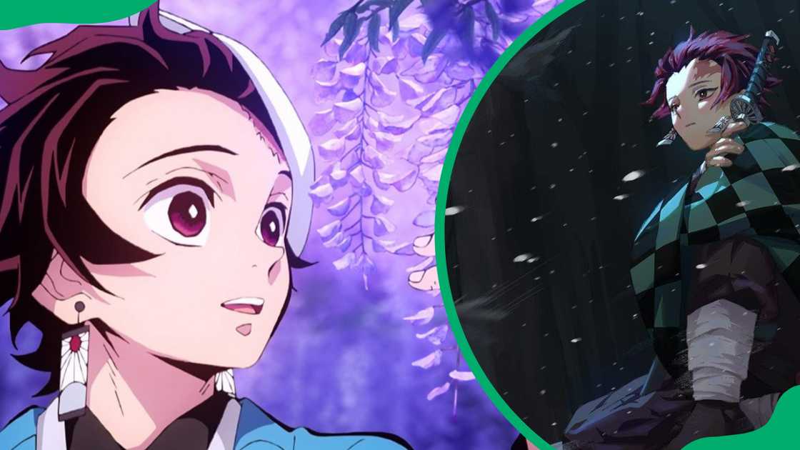 Tanjiro Kamado having a good time Tanjiro Kamado having a good time