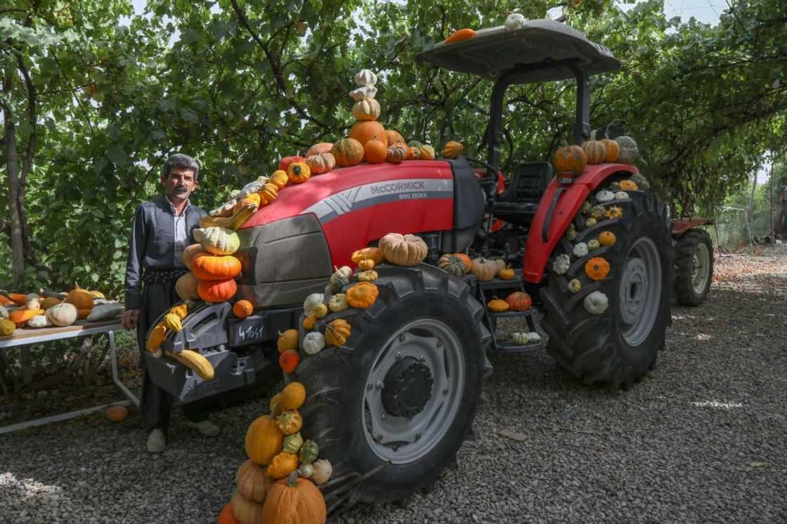 Azad Muhamad has become a social media star in Iraq's Kurdistan region, sharing tips on growing fruit and vegetables in a country highly vulnerable to climate change Azad Muhamad has become a social media star in Iraq's Kurdistan region, sharing tips on growing fruit and vegetables in a country highly vulnerable to climate change